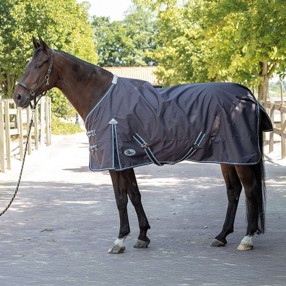 Harry's Horse Couverture Imperméable Thor 0g Ébène