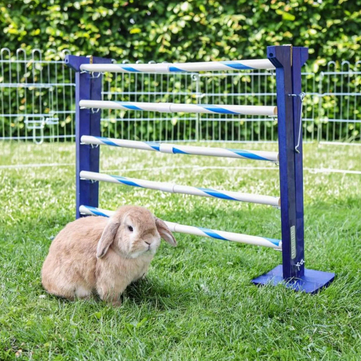 Kerbl Obstacle combiné Agility 2