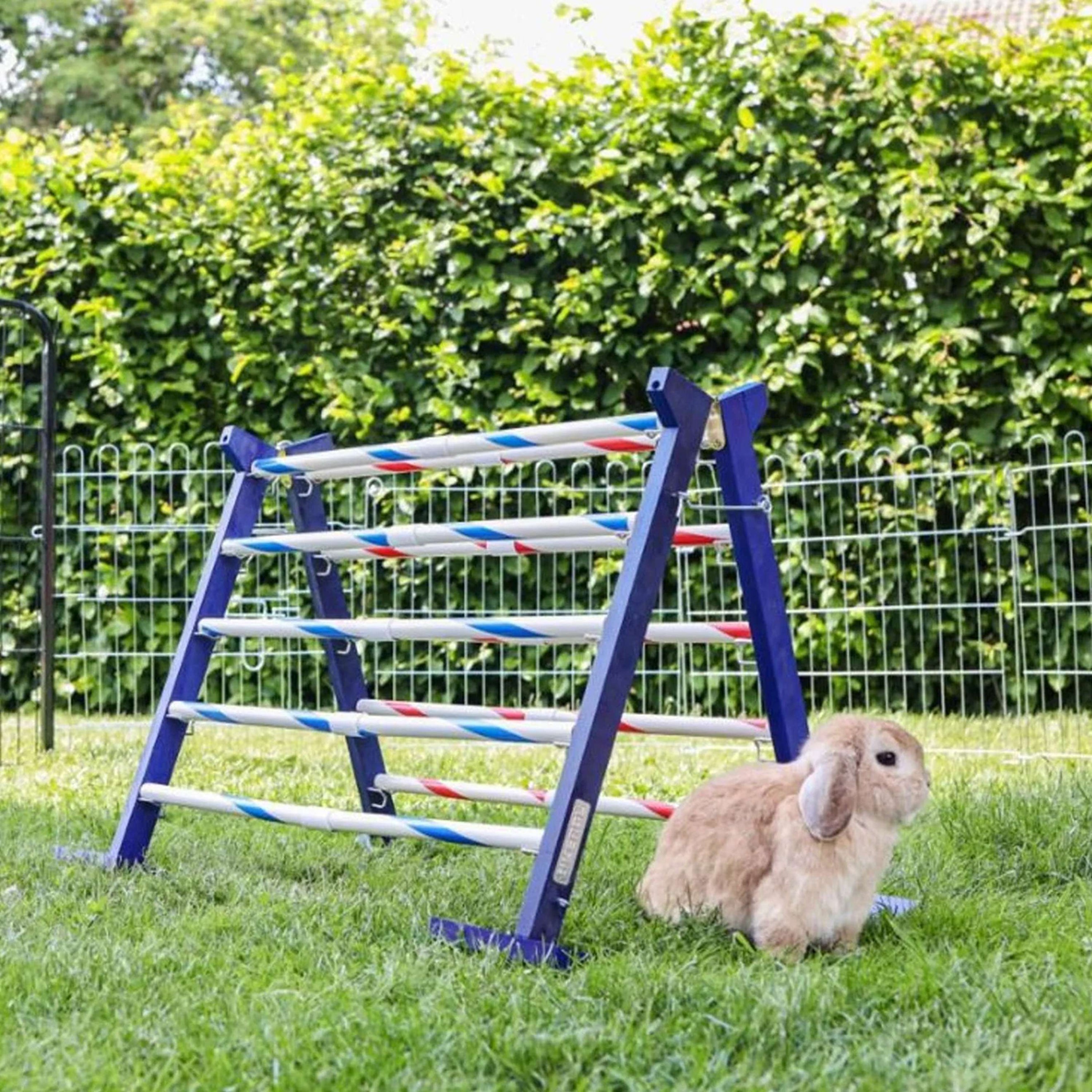 Kerbl Obstacle combiné Agility 2