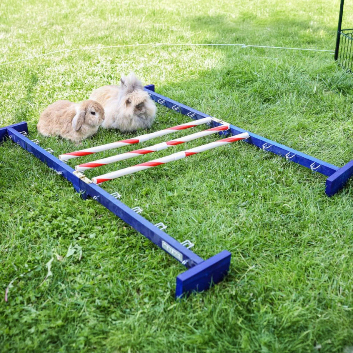 Kerbl Obstacle combiné Agility 2