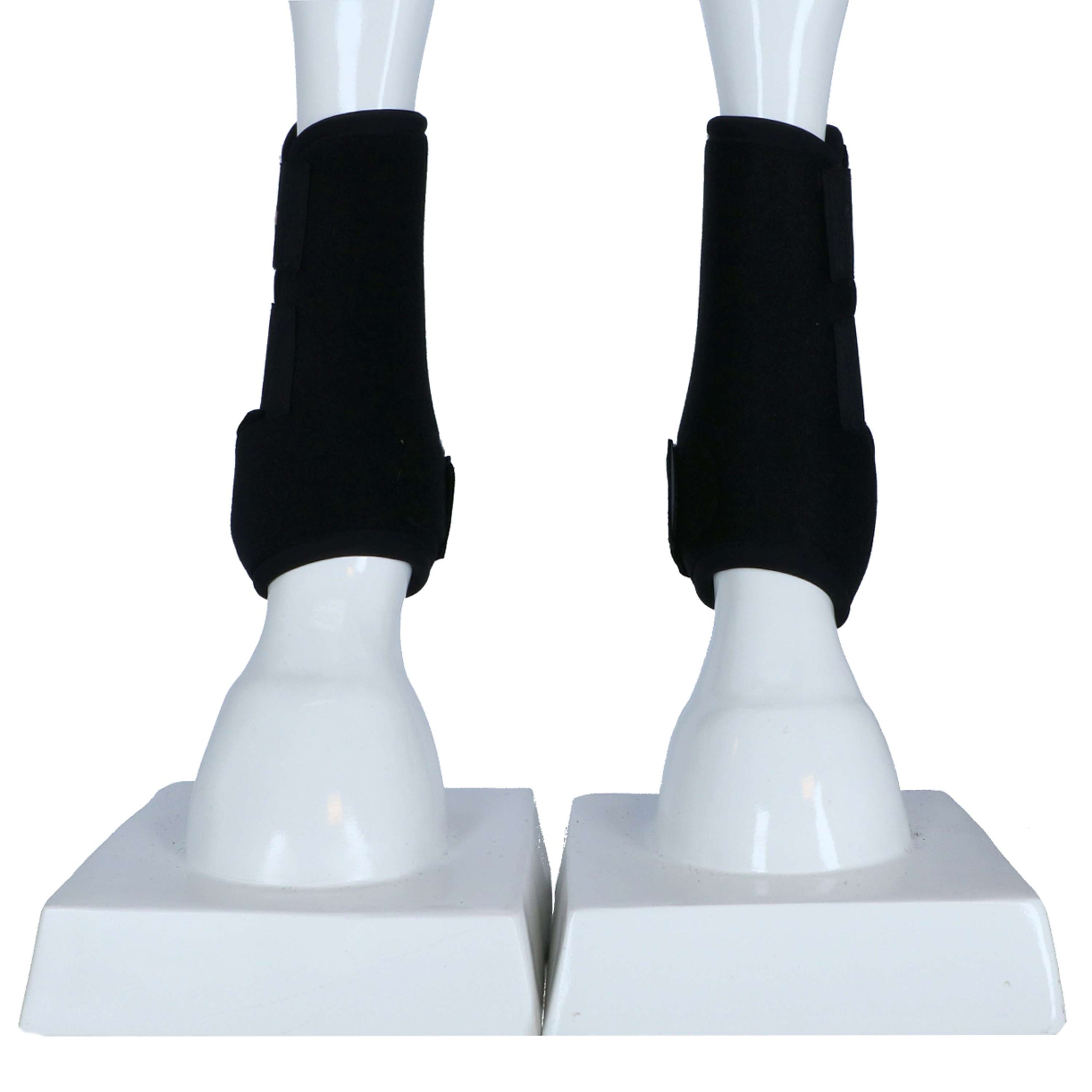 Back on Track Protèges-Tendons la Paire Jambe Avant Noir Back on Track Protèges-Tendons la Paire Jambe Avant Noir