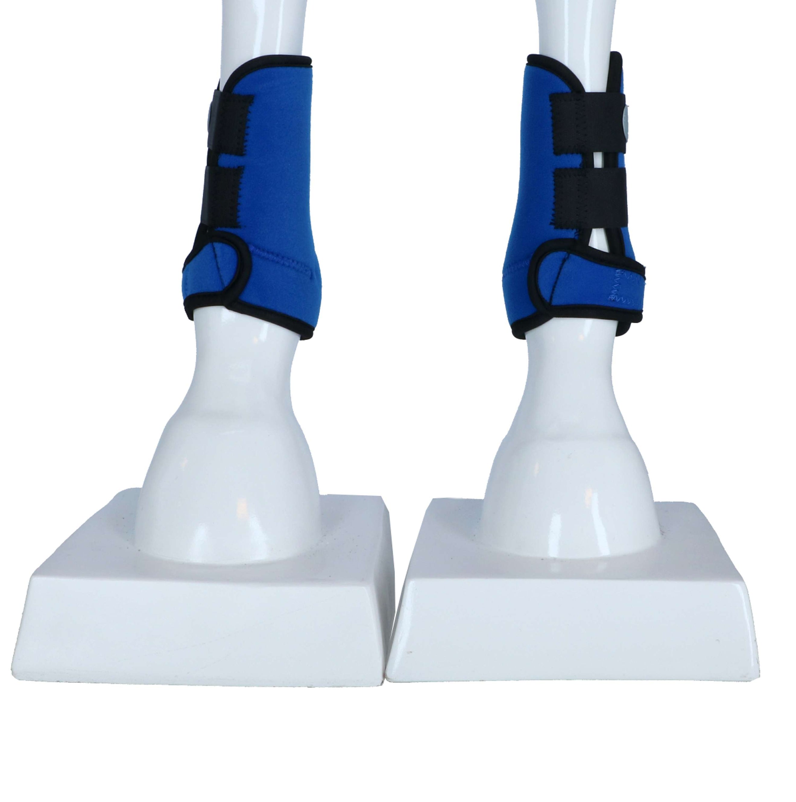 Harry's Horse Guêtres Tiny Néoprène Bleu