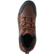 Ariat Chaussures d'Écurie Telluride II H2O D Cuivre