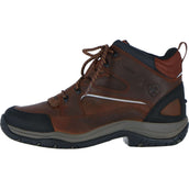 Ariat Chaussures d'Écurie Telluride II H2O D Cuivre