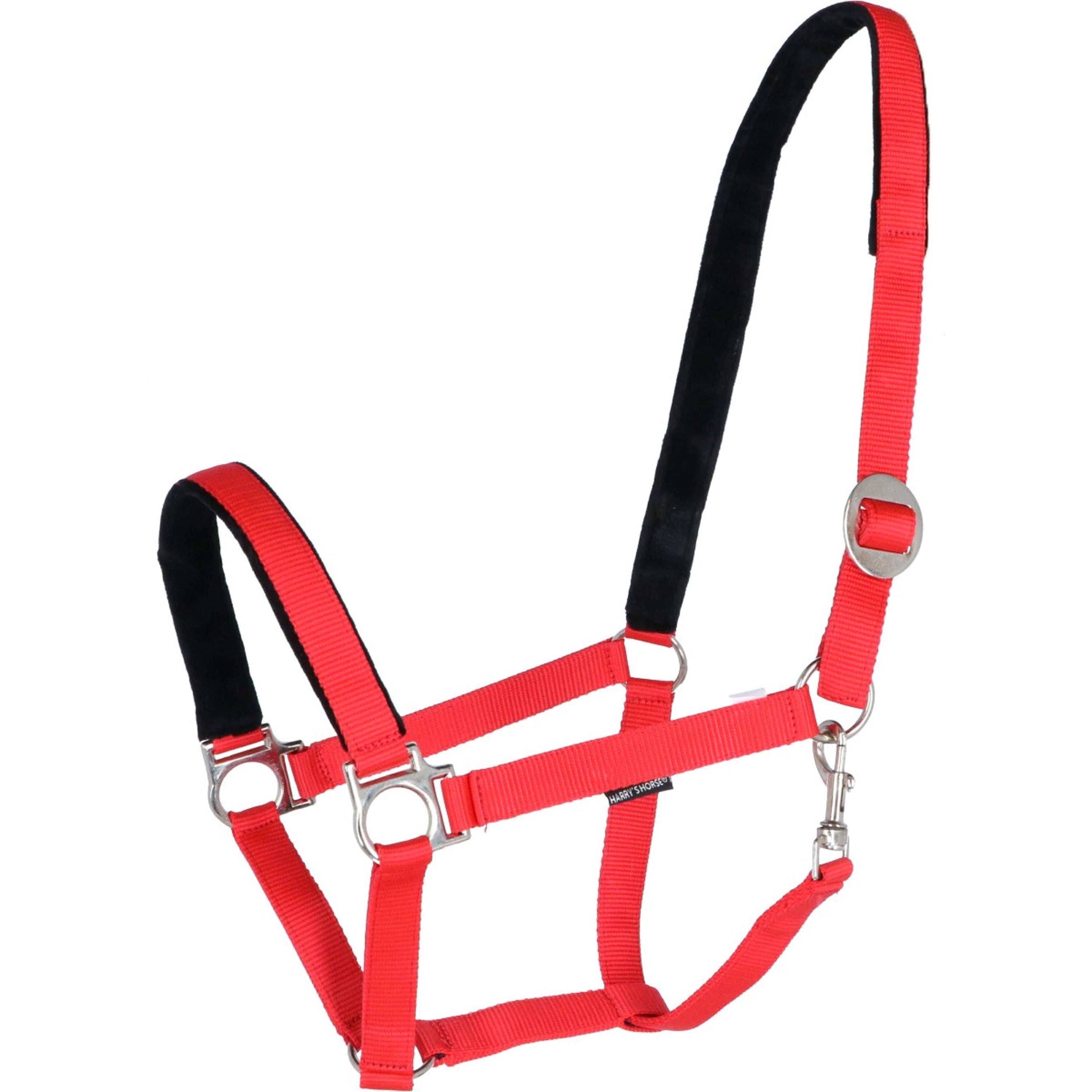 Harry's Horse Licol Padded Rouge