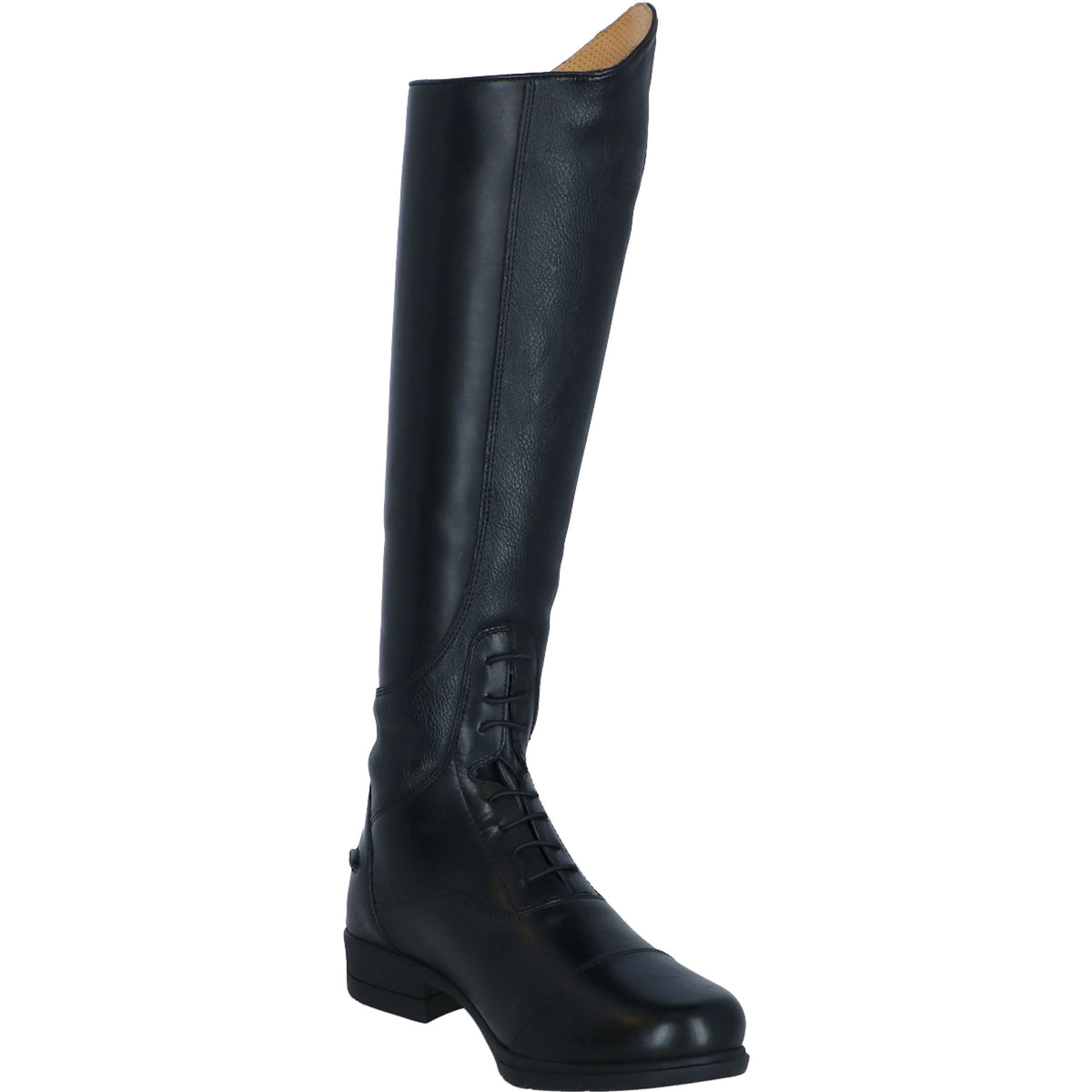 Moretta Bottes d'Équitation Gianna Noir