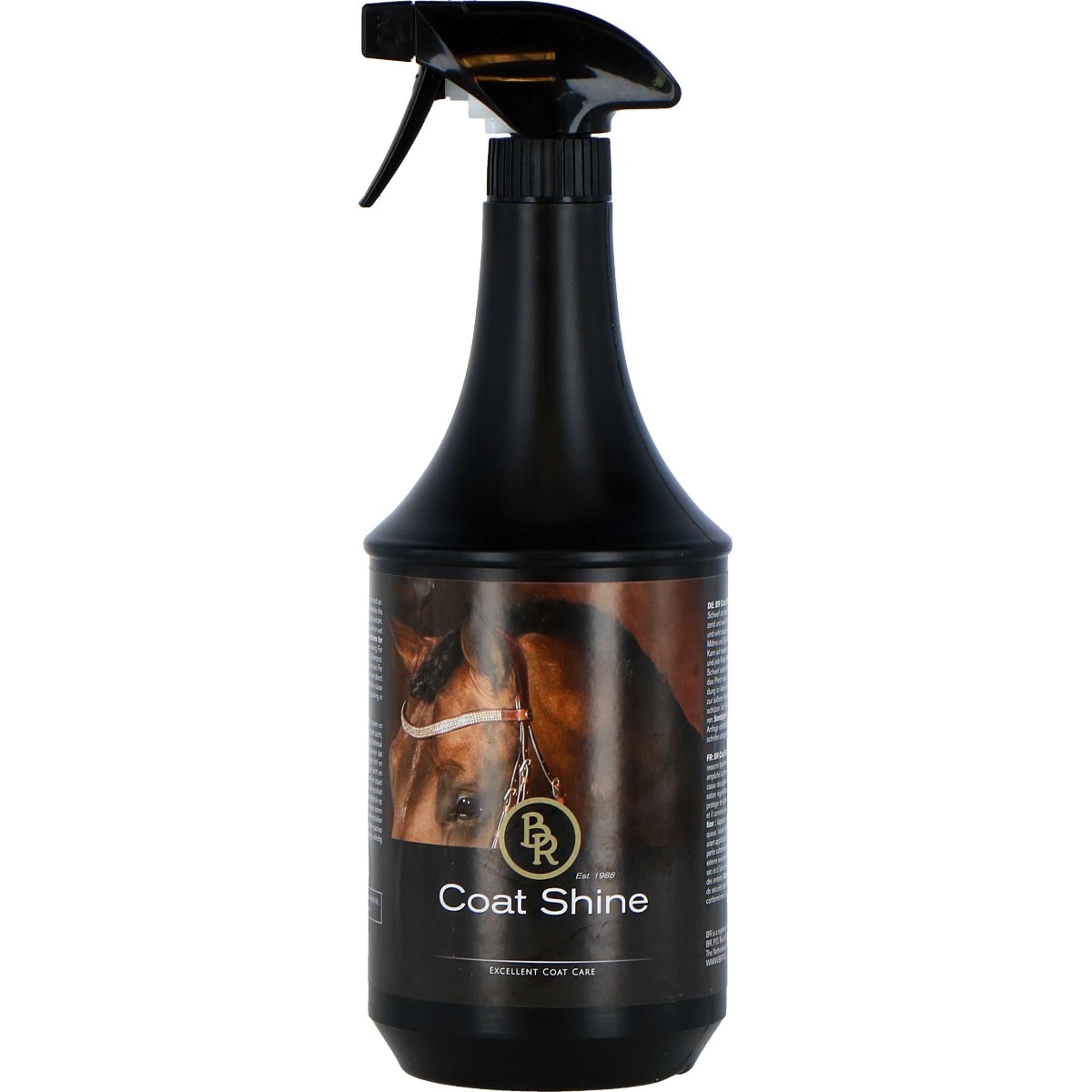 BR Couche Brillance Spray BR Couche Brillance Spray