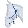 Riding World Licol Fine Éthologique Bleu Royal