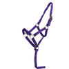 Norton Licol pour Poulain avec Ligne Violet