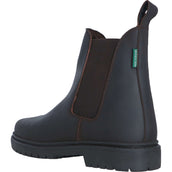 Norton Jodhpurs Camargue Marron