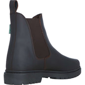 Norton Jodhpurs Camargue Marron
