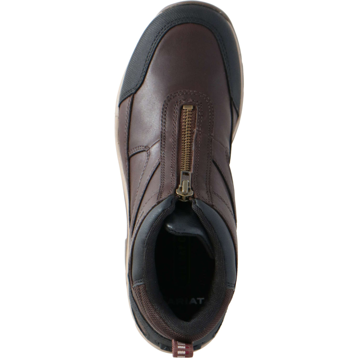 Ariat Chaussure d'Écurie Telluride Zip H2O Femme Marron foncé