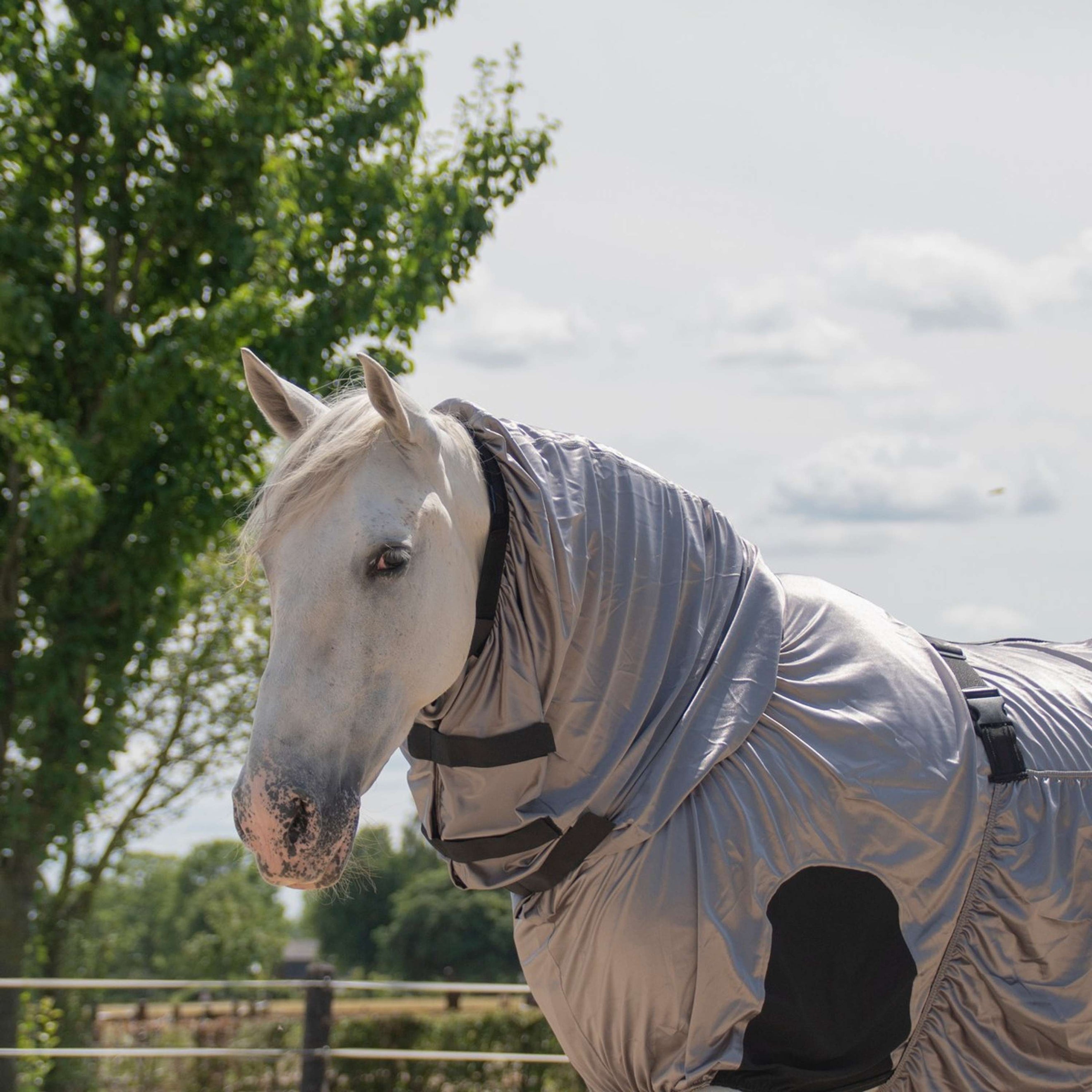 Harry's Horse Chemises anti-mouches/Eczéma UV