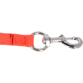 Shires Chaîne d'Attache Bungee Breakaway Orange