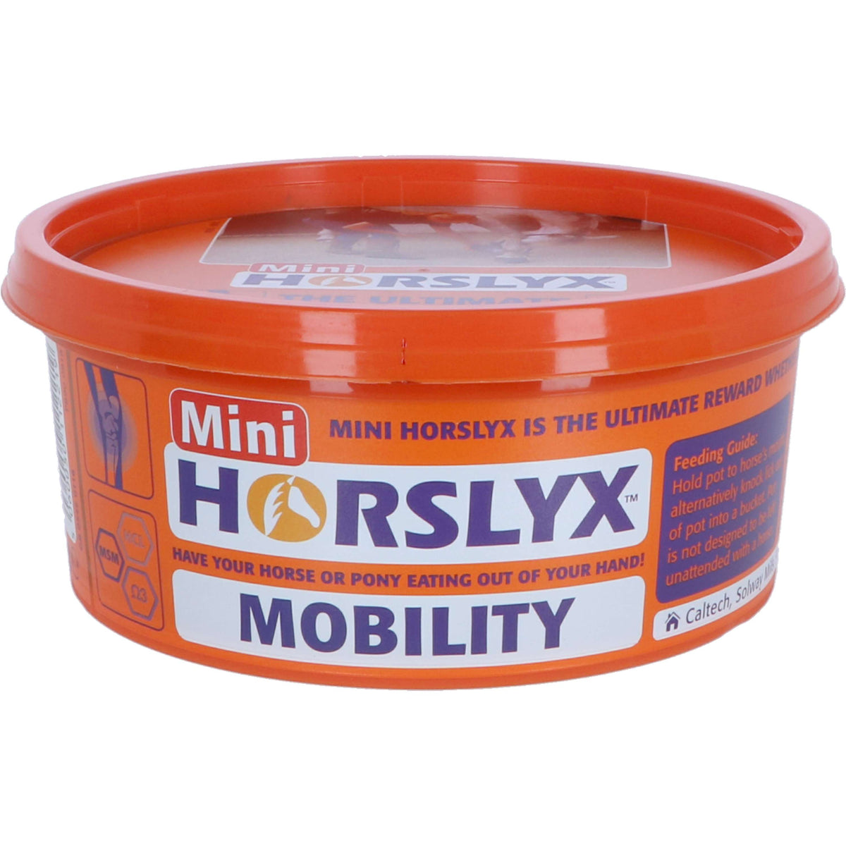 Horslyx Pierre à Lécher Mobility