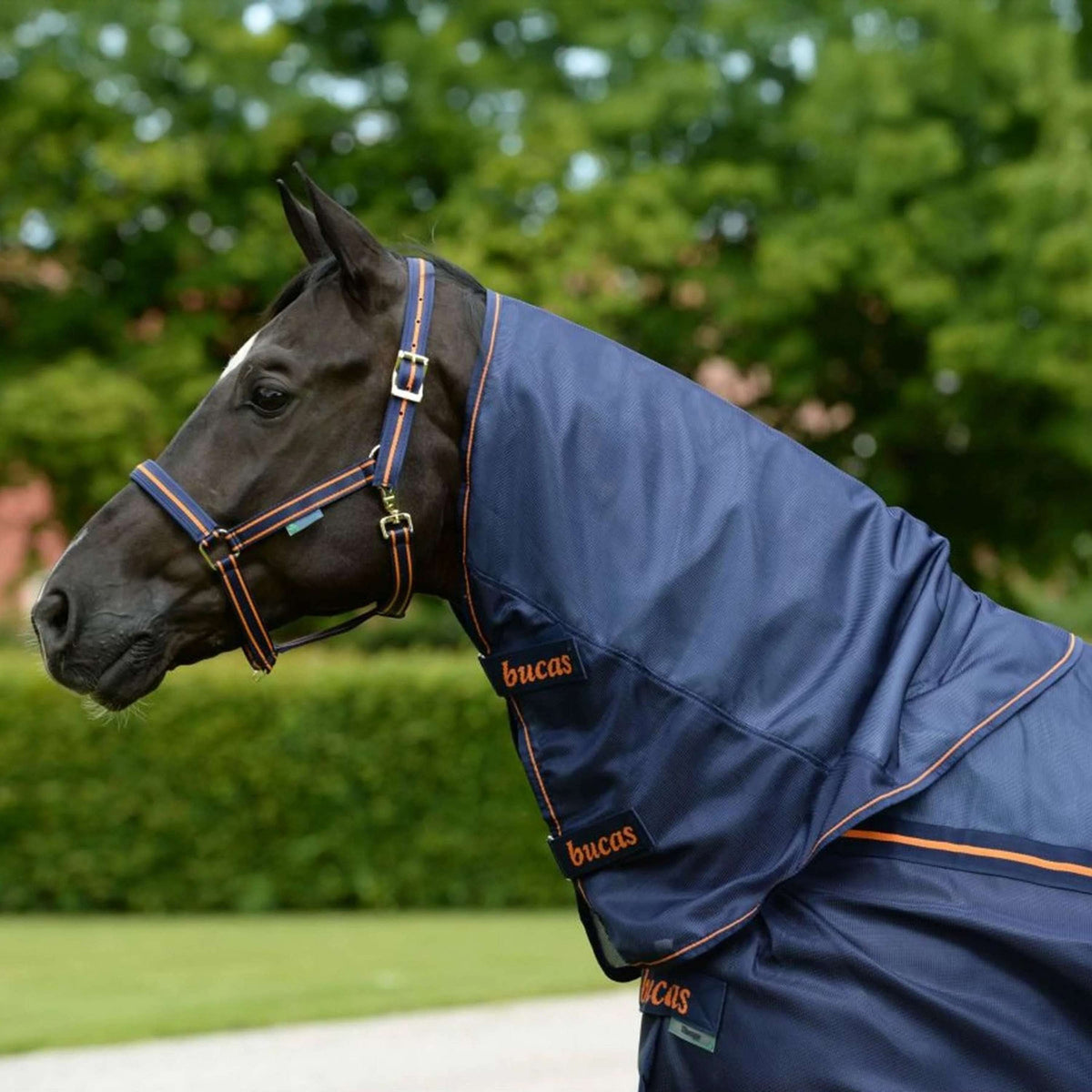 Bucas Therapy Light Neck Bleu Marine/Orange