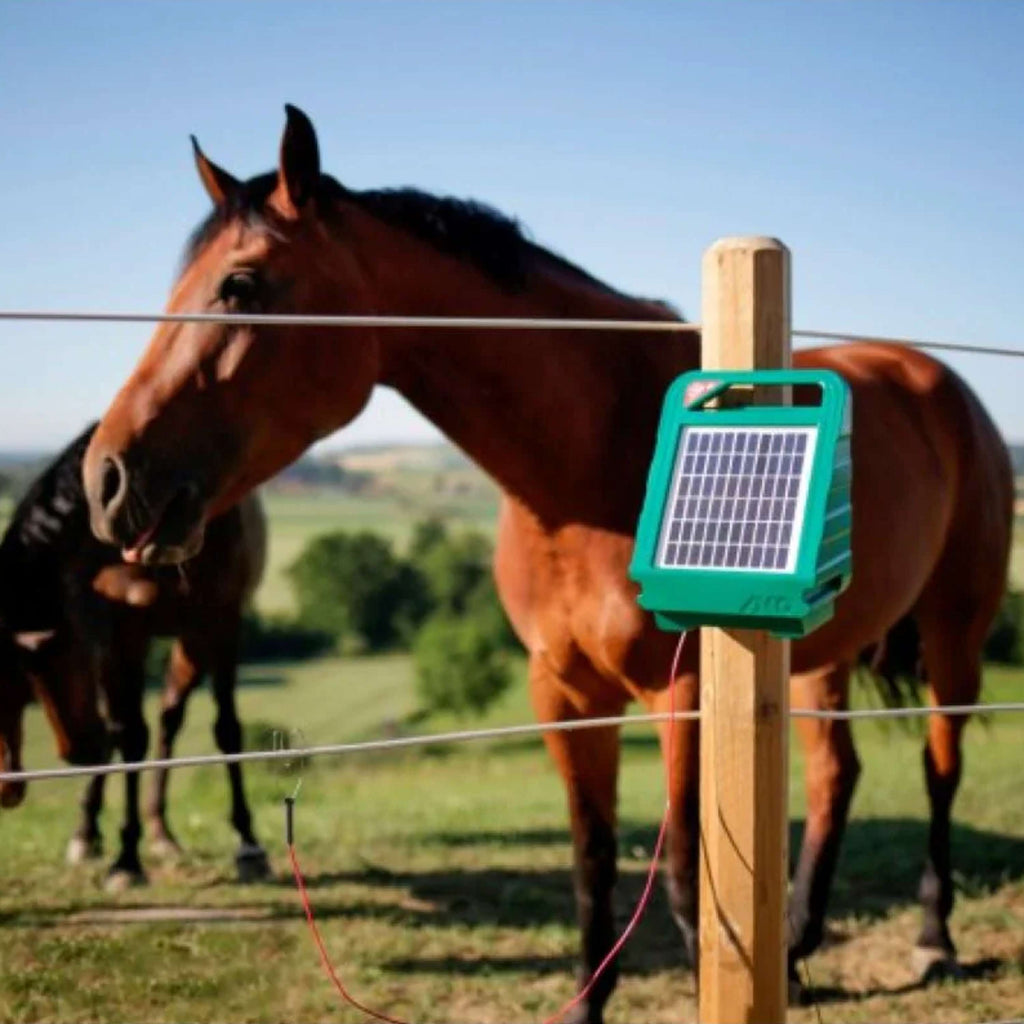 Ako Electrificateur de Clôture SunPower S250