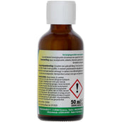 cdVet Spray d'Été InsektoVet Concentrat