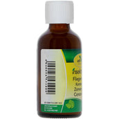 cdVet Spray d'Été InsektoVet Concentrat