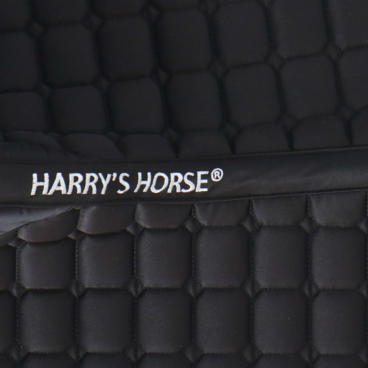 Harry's Horse Oxer Noir