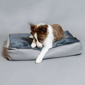 Kentucky Lit/panier pour Chien Soft Pillow