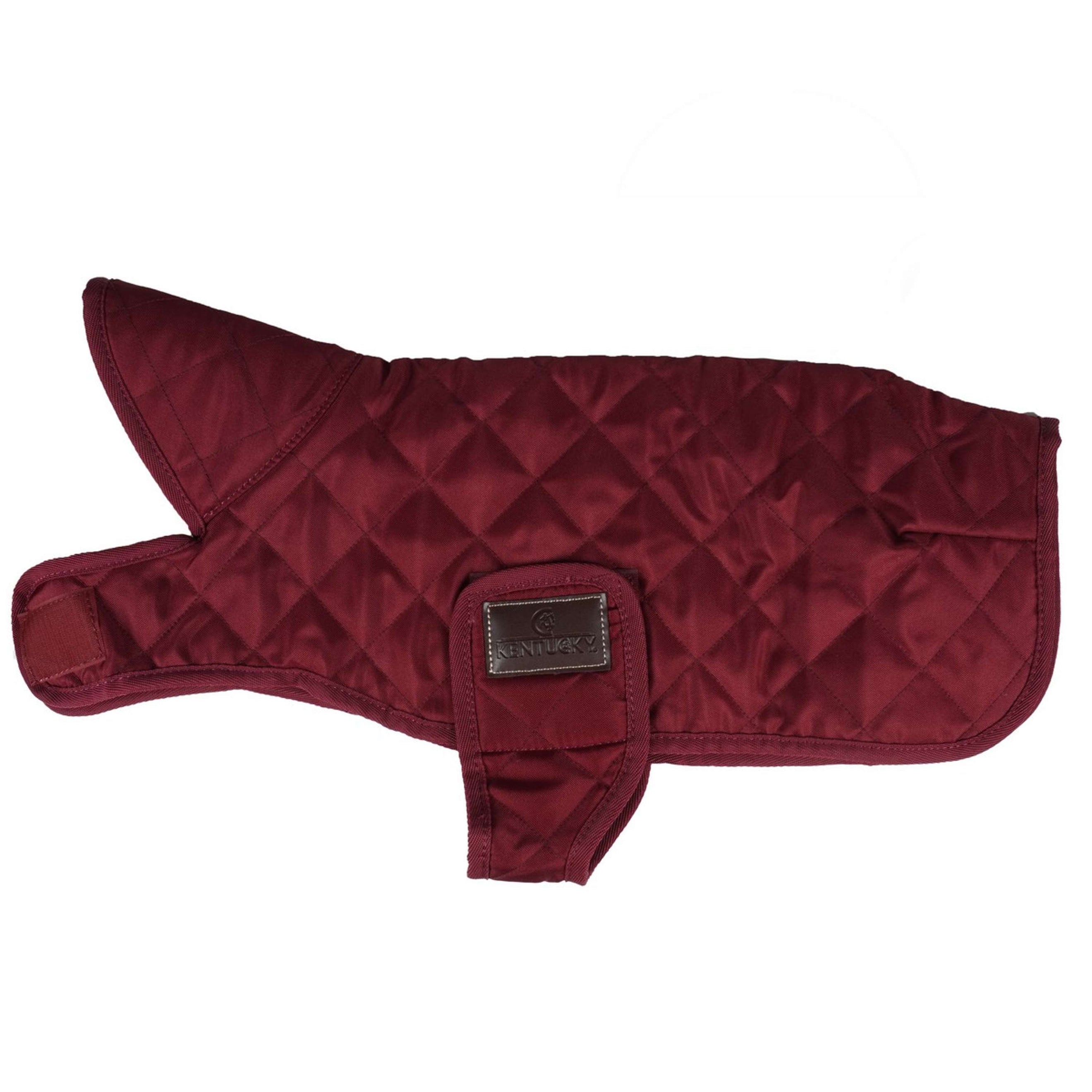 Kentucky Veste pour Chien Original Royal Bordeaux