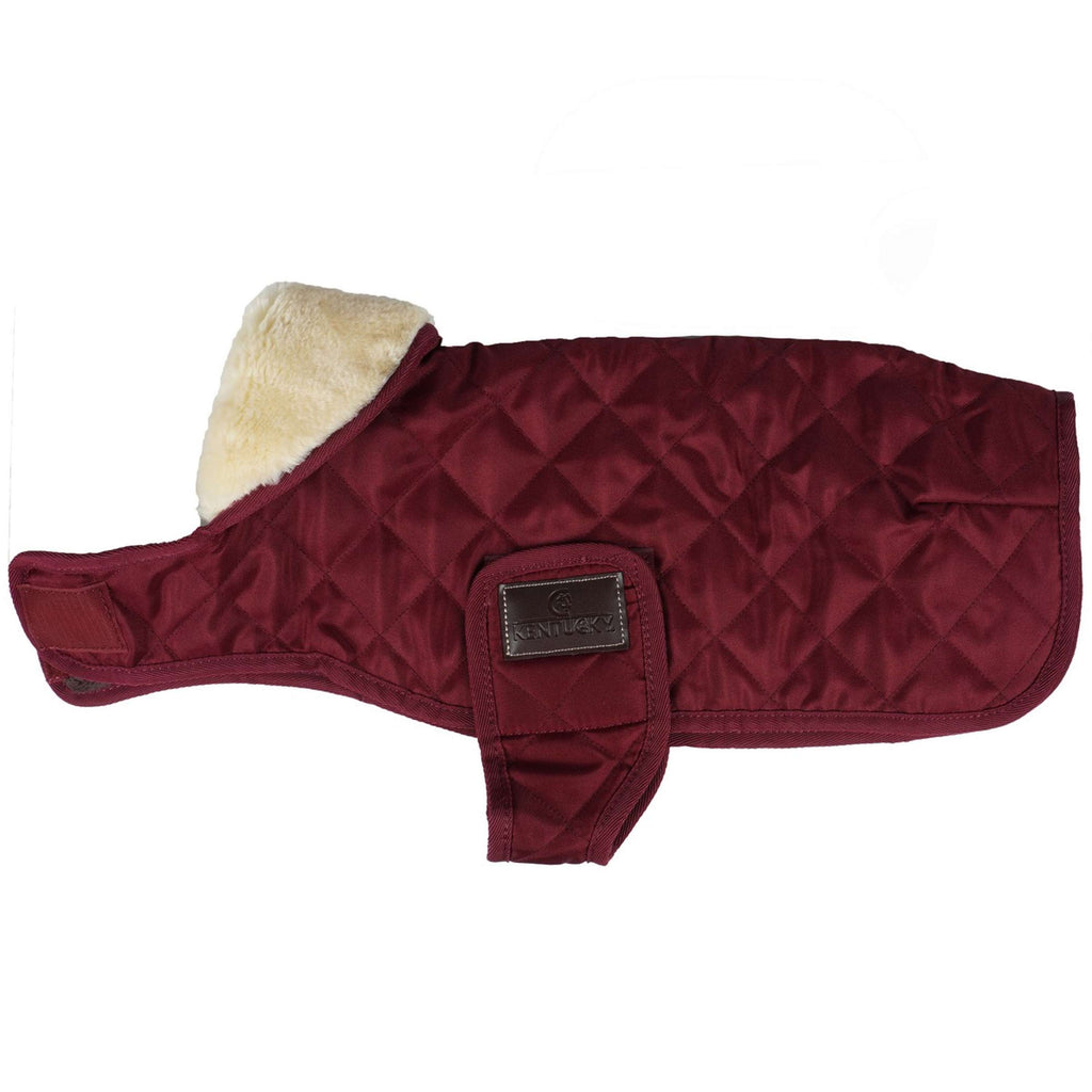 Kentucky Veste pour Chien Original Royal Bordeaux