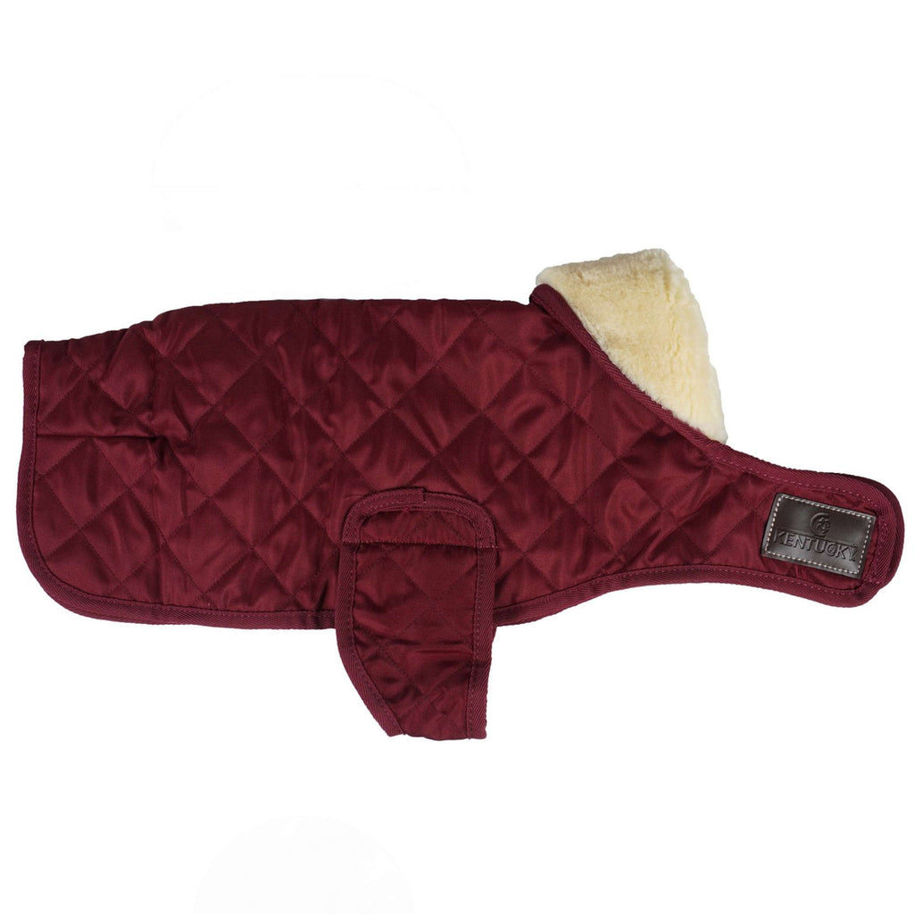 Kentucky Veste pour Chien Original Royal Bordeaux