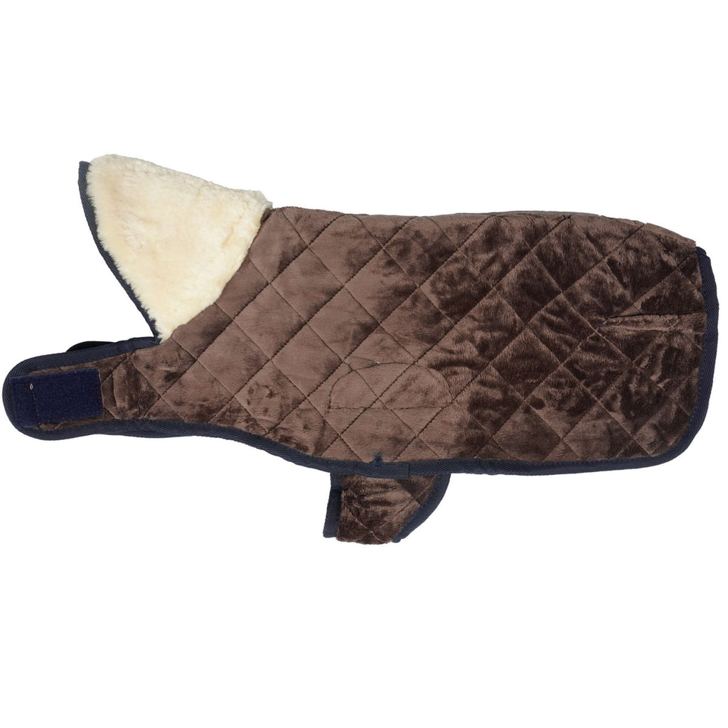 Kentucky Veste pour Chien Original Royal Marin