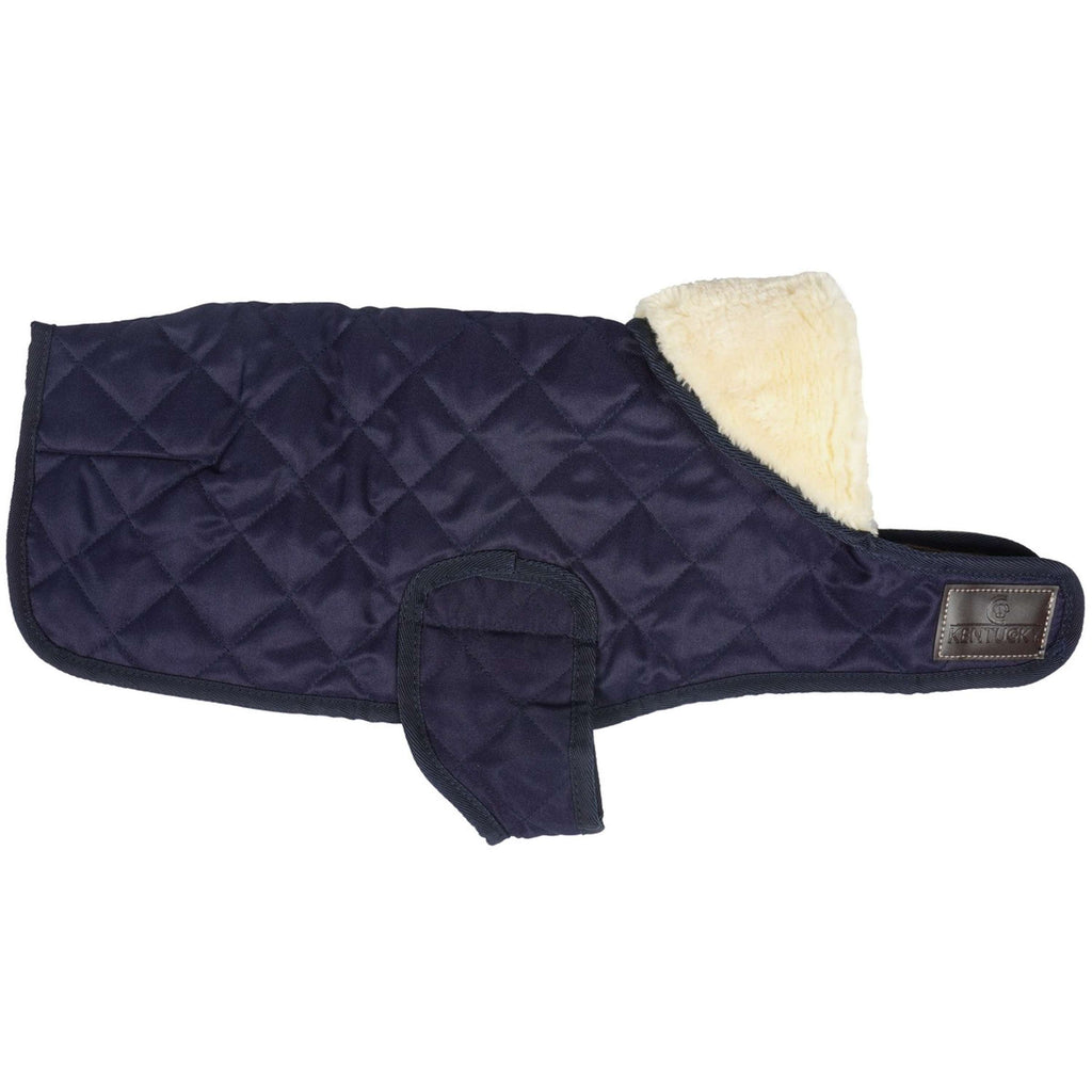 Kentucky Veste pour Chien Original Royal Marin