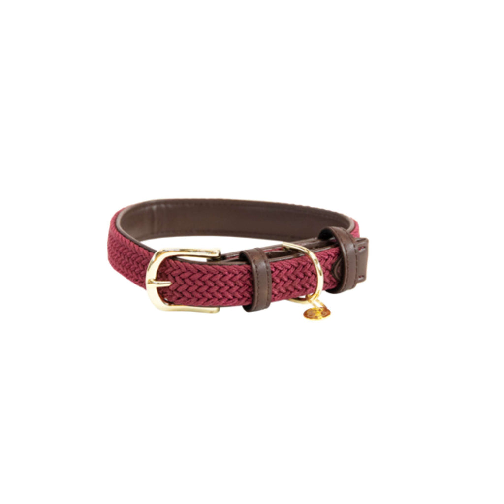 Kentucky Collier Plaited Nylon Bordeaux