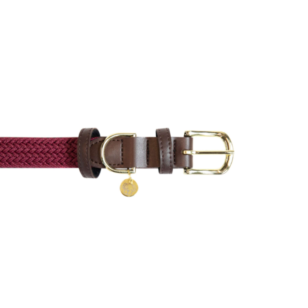 Kentucky Collier Plaited Nylon Bordeaux
