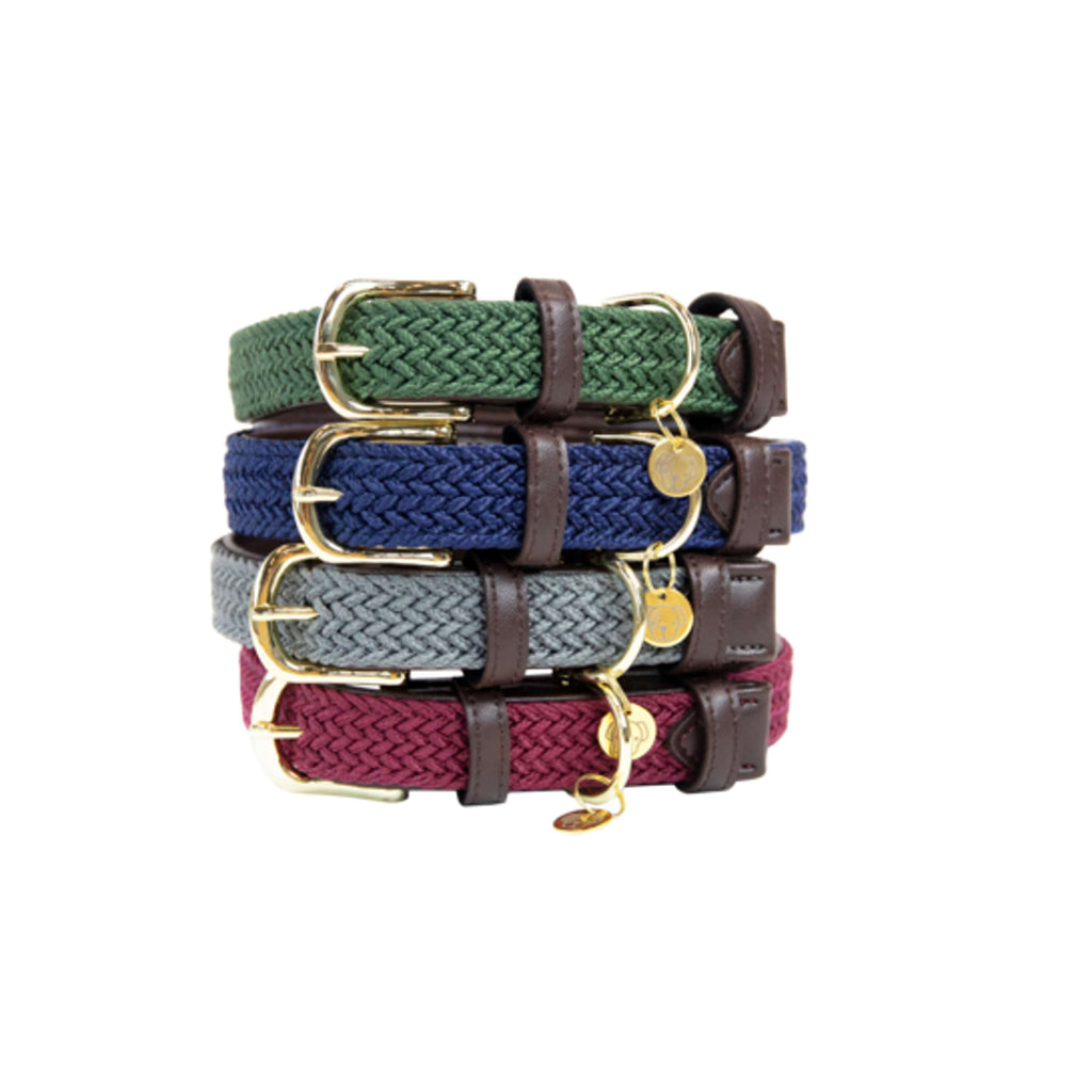 Kentucky Collier Plaited Nylon Bordeaux