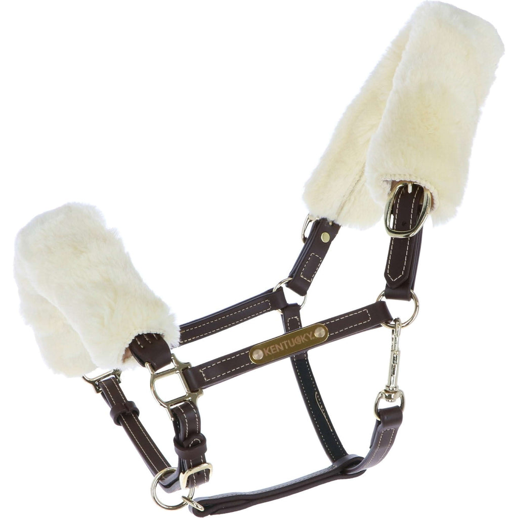 Kentucky Licol en Cuir Leather with Sheepskin
