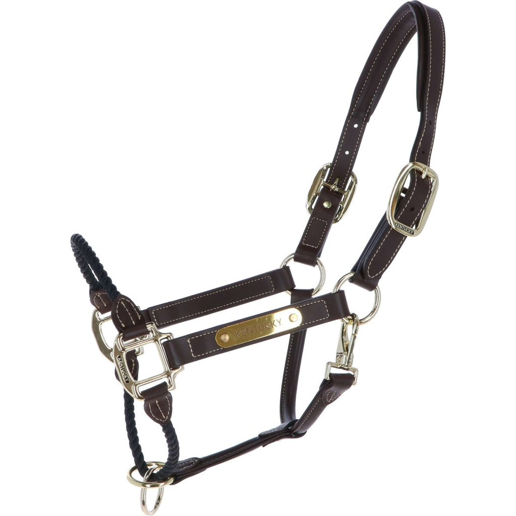 Kentucky Licol en Cuir et Corde Noir