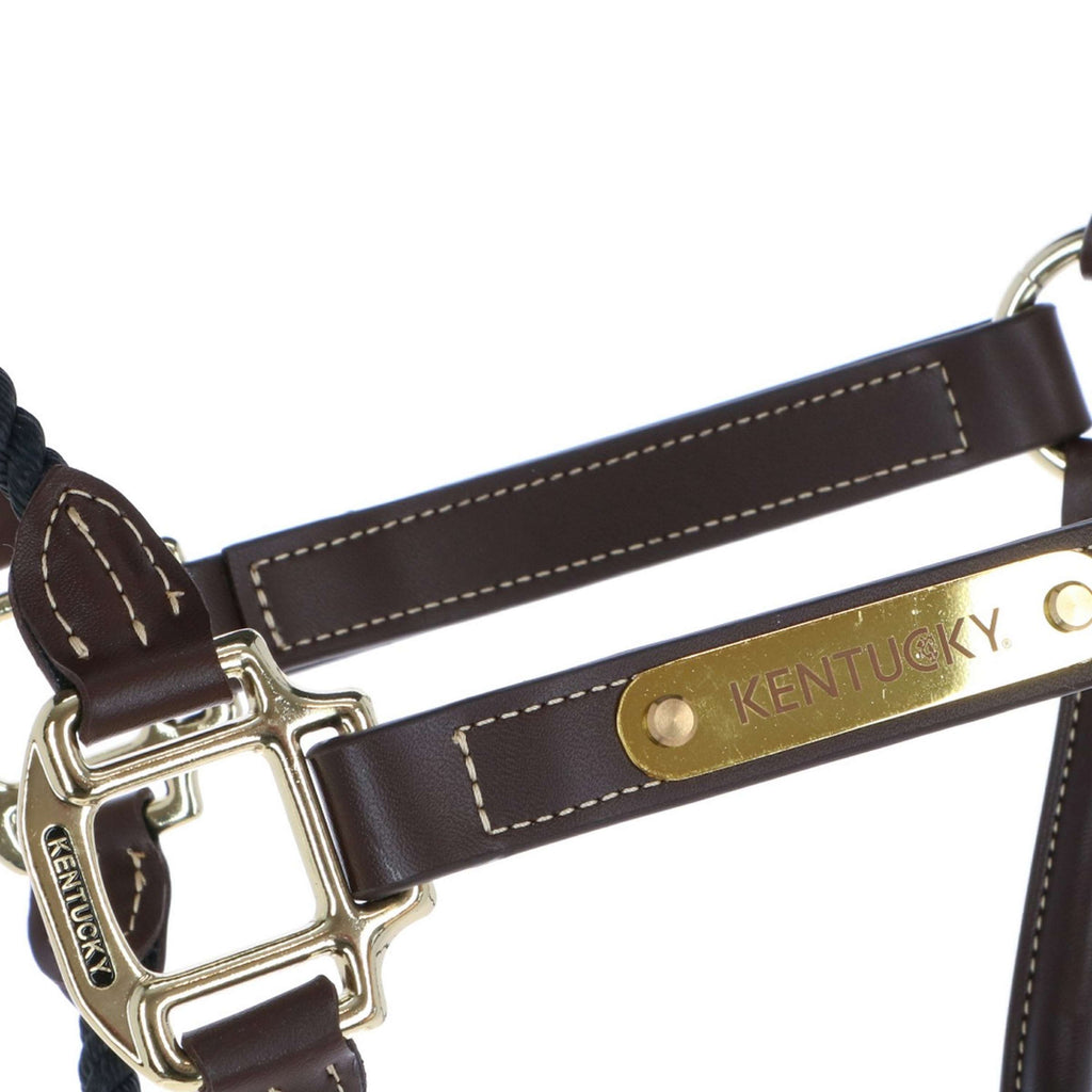 Kentucky Licol en Cuir et Corde Noir