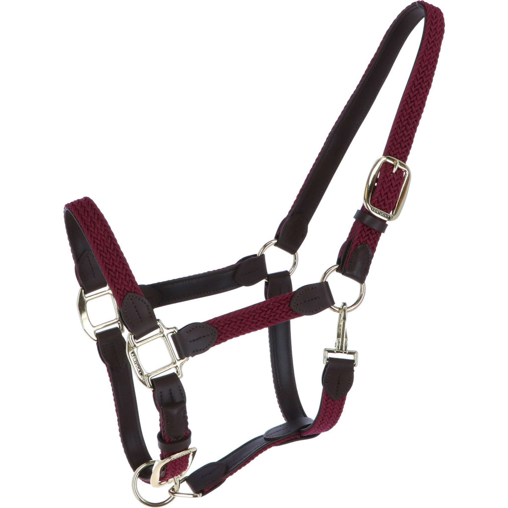 Kentucky Licol Nylon Tressé Bordeaux