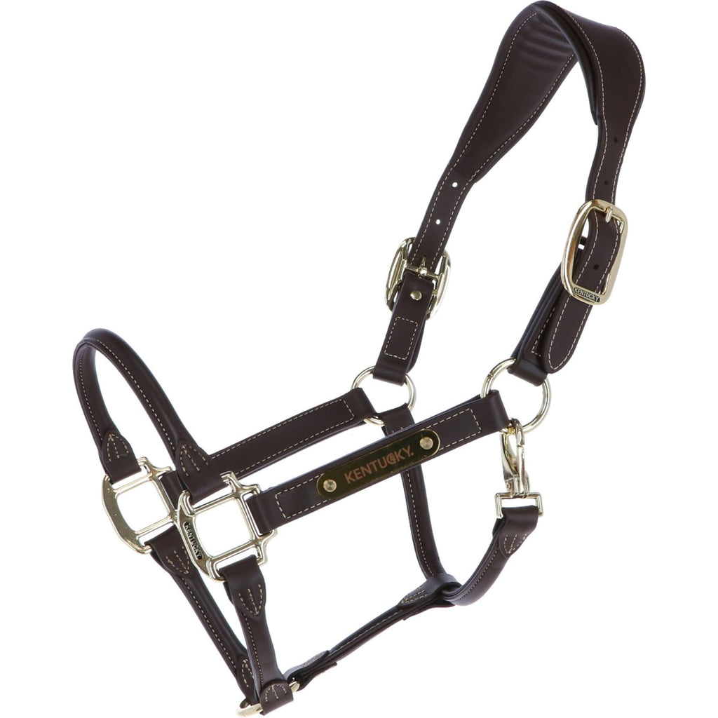 Kentucky Licou Cuir Anatomique Marron
