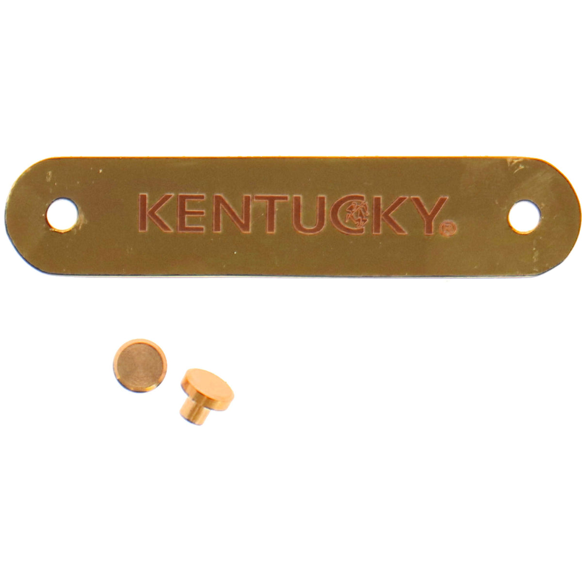 Kentucky Plaque de Nom pour Licol Or