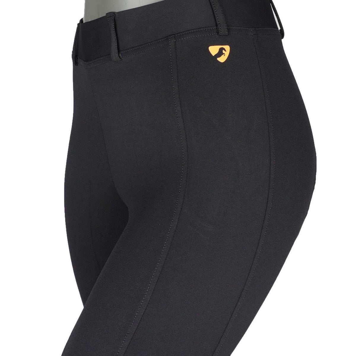 Aubrion by Shires Legging d'Équitation Albany Noir