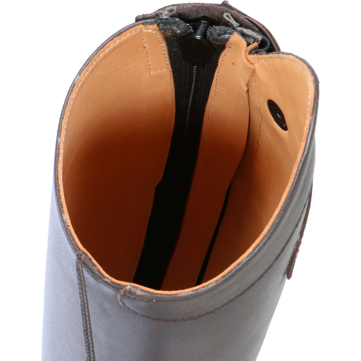 Ego7 Bottes d'Équitation Orion S Marron