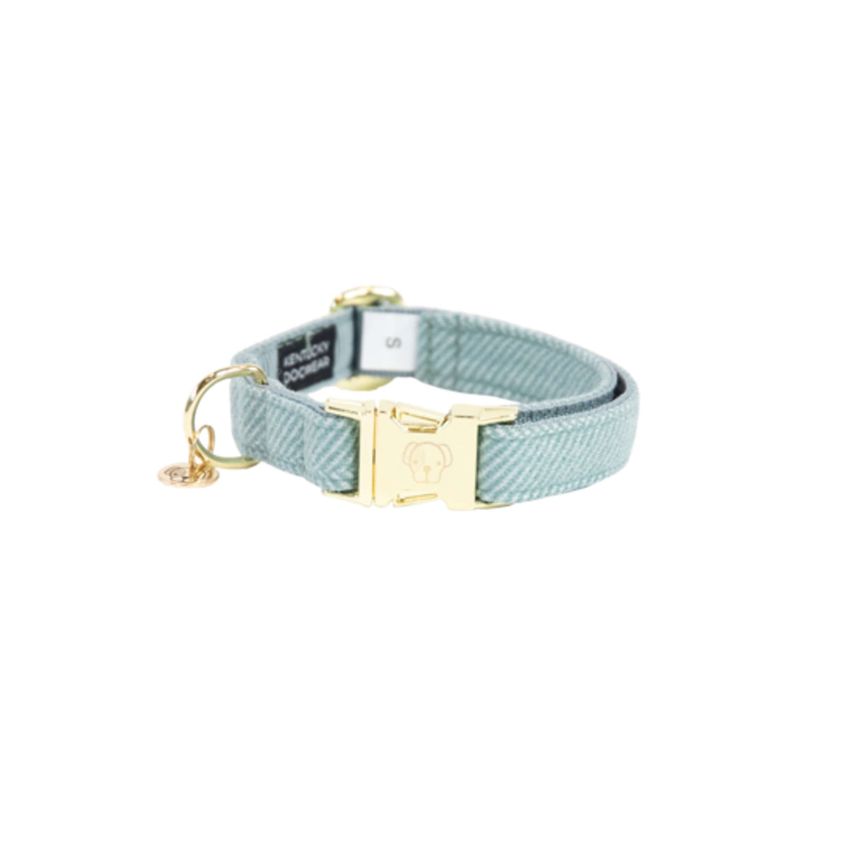 Kentucky Collier pour Chien Laine Bleu clair