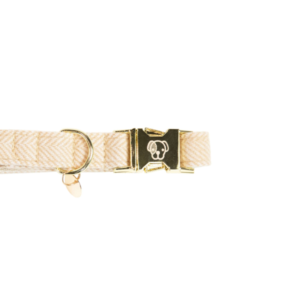 Kentucky Collier pour Chien Laine Beige