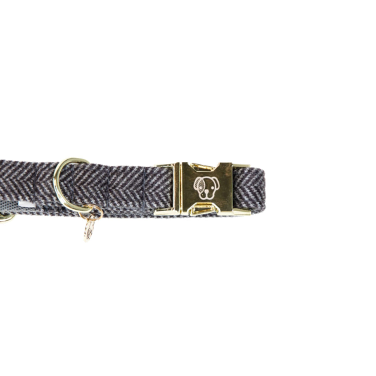 Kentucky Collier pour Chien Laine Gris