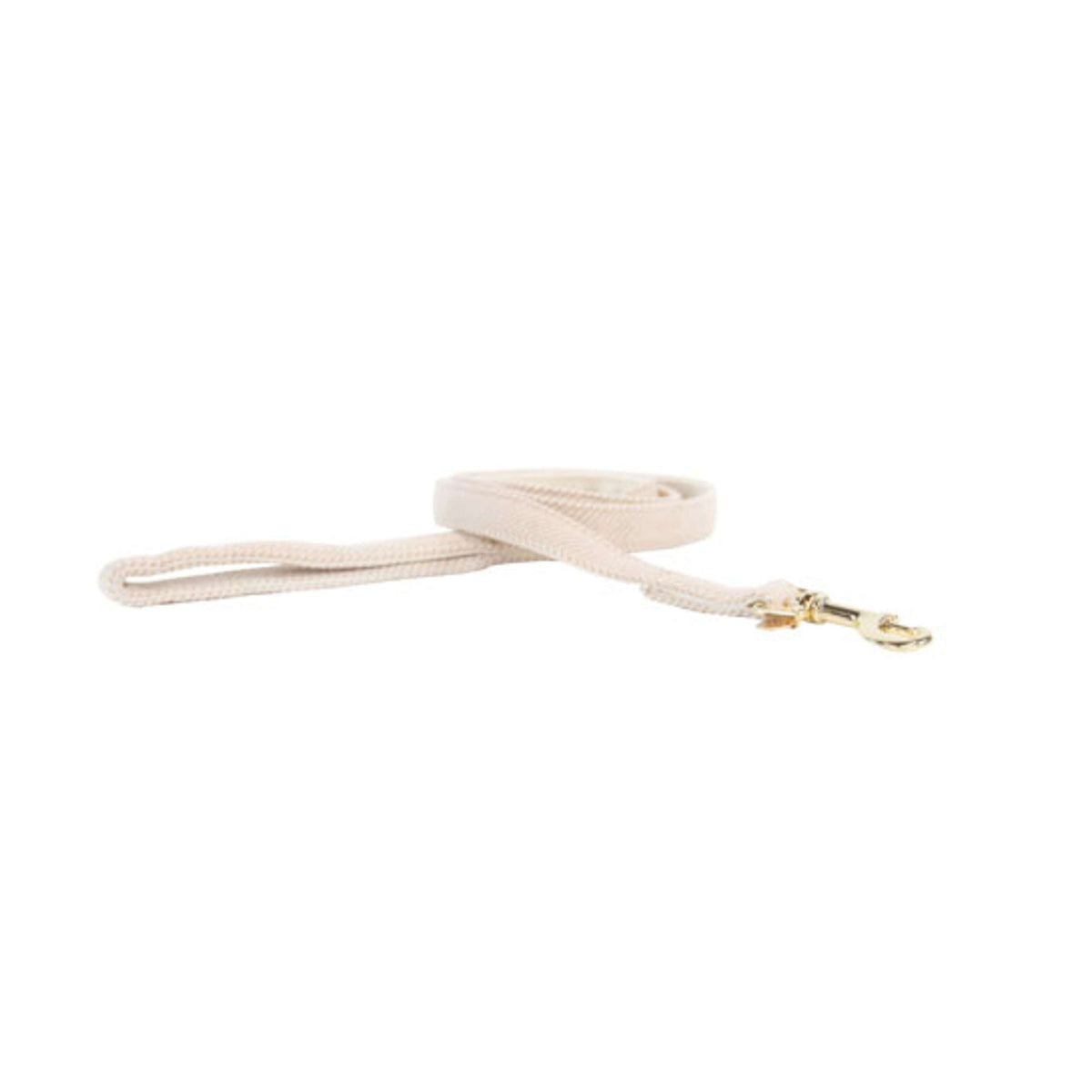 Kentucky Laisse pour Chien Laine Beige