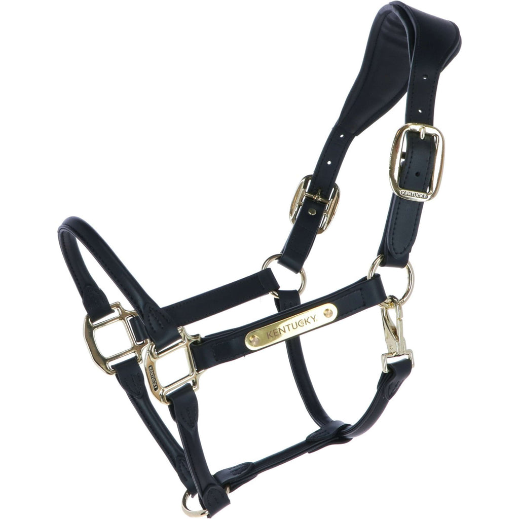 Kentucky Licou Cuir Anatomique Noir