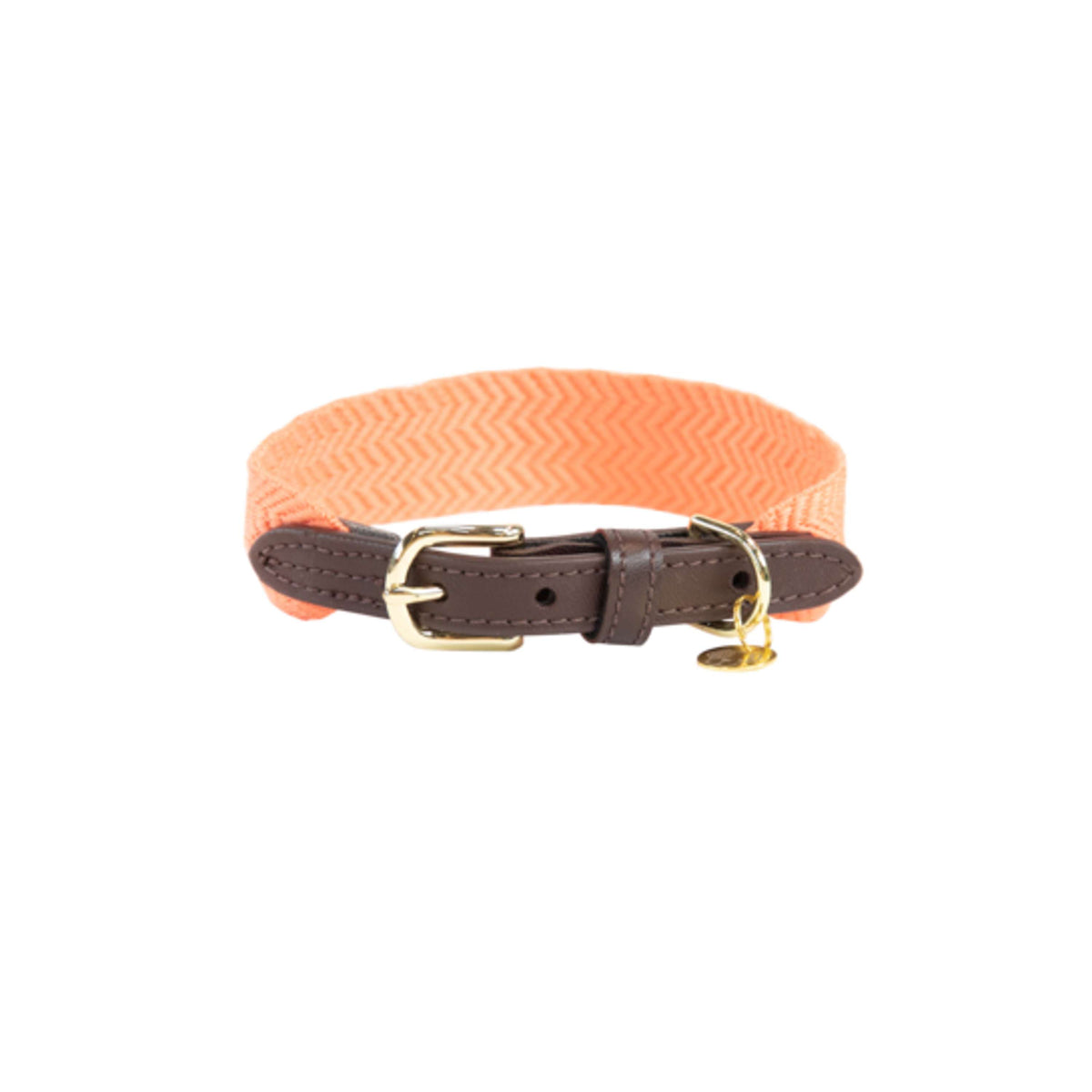 Kentucky Collier Jacquard Neon Orange