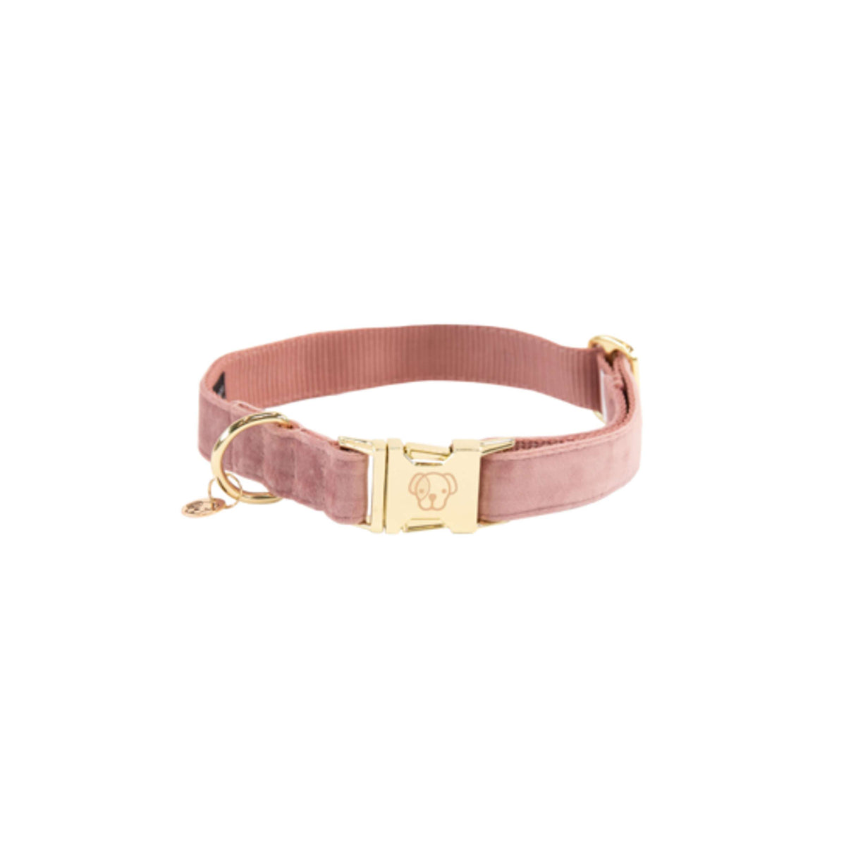 Kentucky Collier velours Old Rose