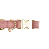 Kentucky Collier velours Old Rose