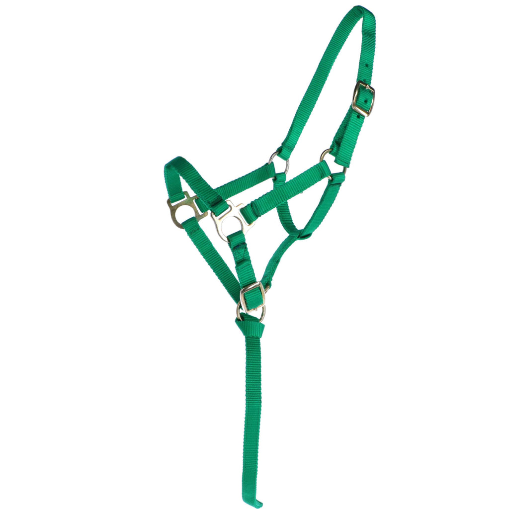 Norton Licol pour Poulain avec Longe Vert clair